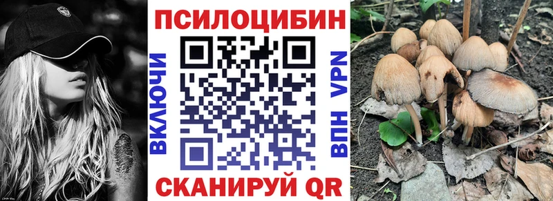 KRAKEN ССЫЛКА  Светлогорск  Псилоцибиновые грибы мицелий 
